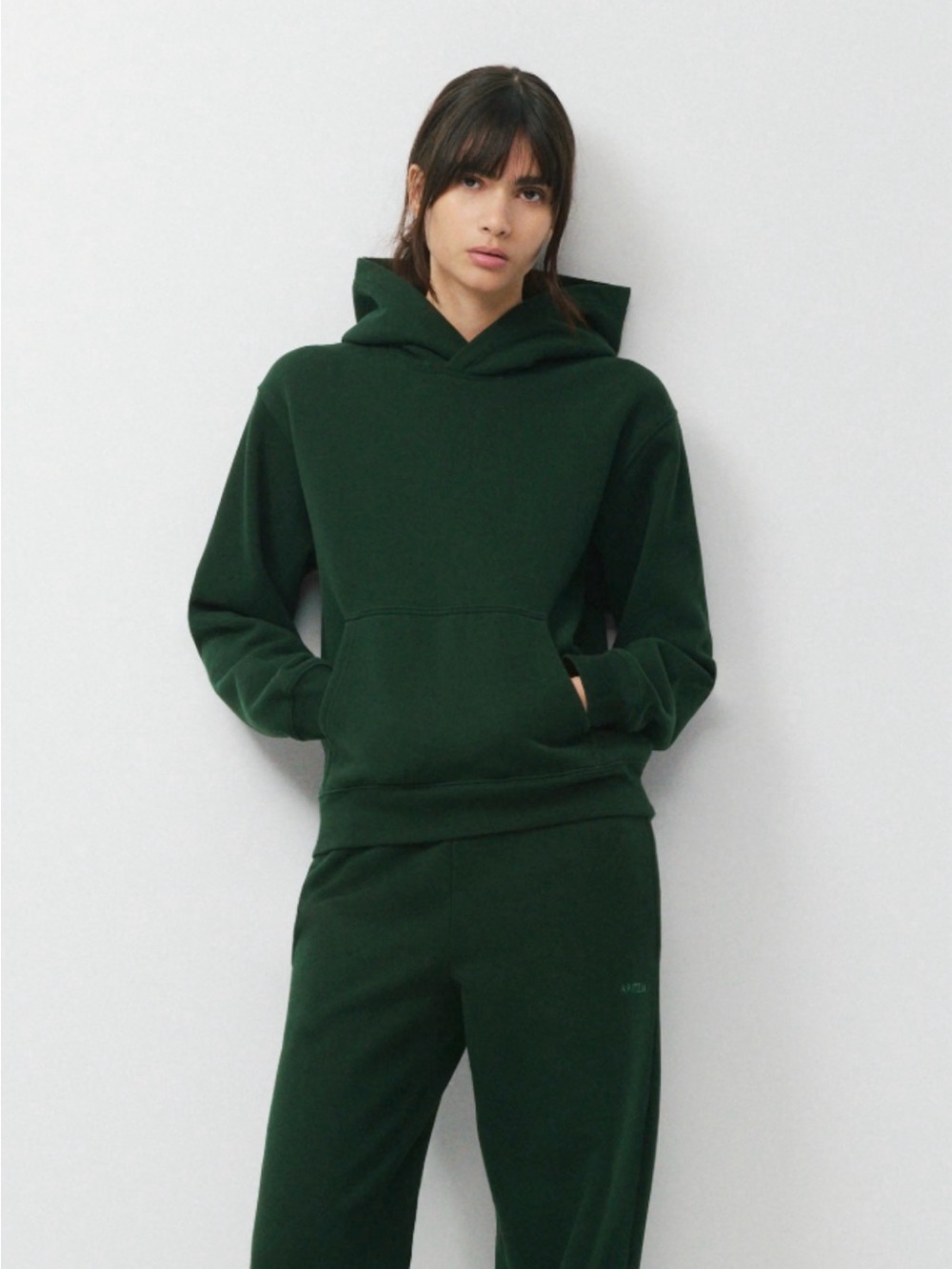 Aritzia Forest Green Crewneck Hoodie